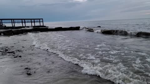 Fairuz Slowmotion Waves on a Beech