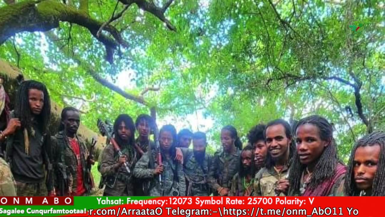 Gabaasa Tarkaanfii ONM-ABO Ebla 5-2024 itti dhiyaadhaa!