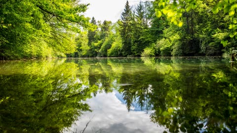 A deep pool of stillness