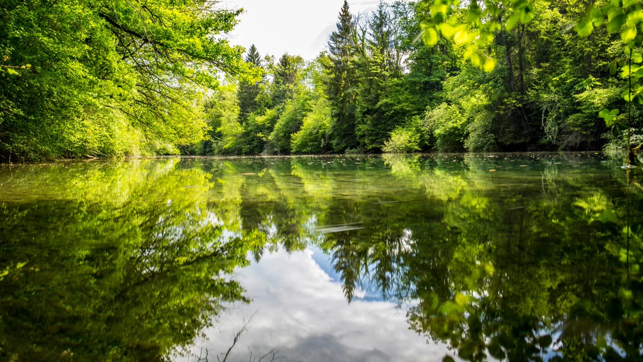 A deep pool of stillness