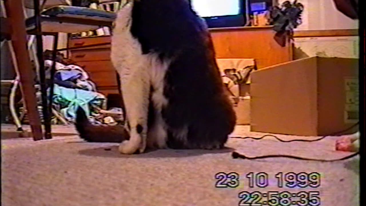 1999 10 23