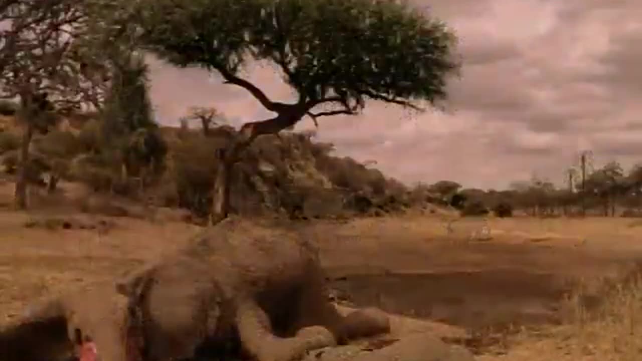 Michael Jackson - Earth Song (Official Video)