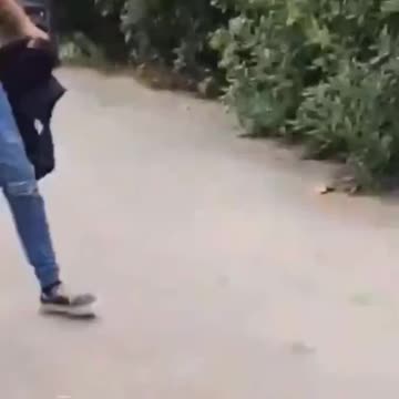 Negro punches White baby