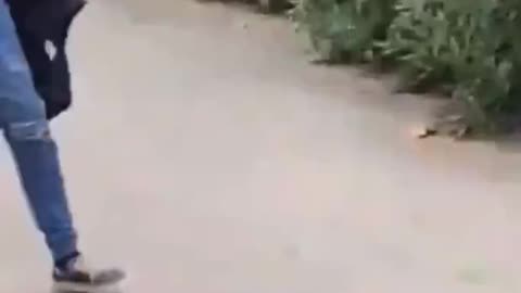 Negro punches White baby