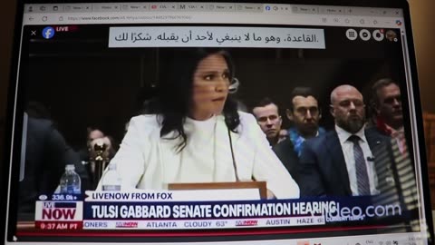 Tulsi Gabbard Senate Confirmation Hearing