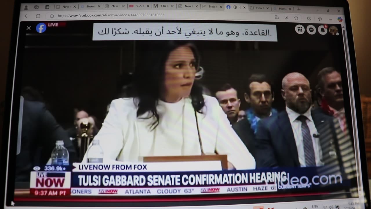 Tulsi Gabbard Senate Confirmation Hearing