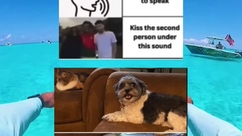 #funny #memes #fyp