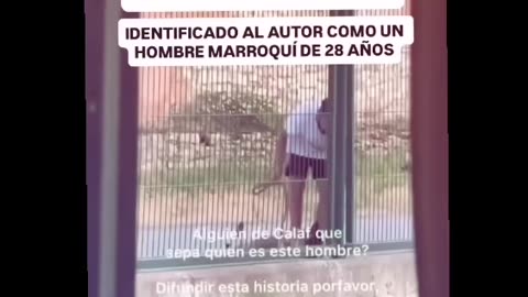 Última hora!! Rescatado por la Guardia Civil el perro maltratado de Calaf