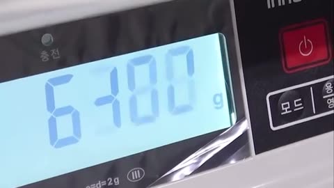 🐼🏋️ Little Panda Cub's Weigh-In Gone Wrong! | FunFM