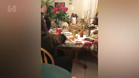 Crazy funny video