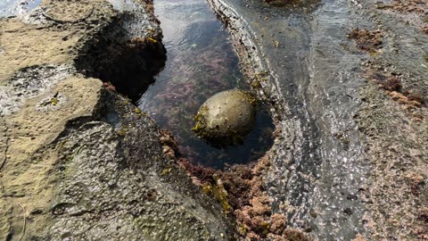 Shore Walk Chill Hangout Lounge Ocean View #waves #chill #zen #lounge