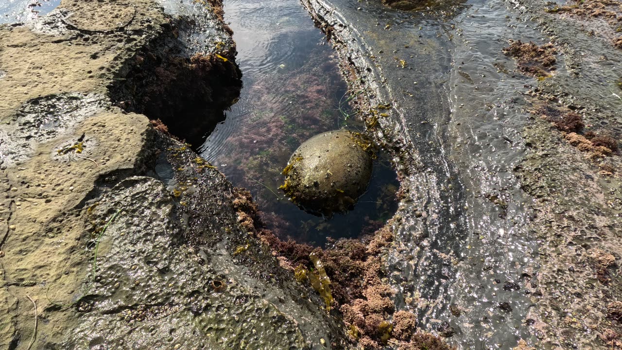 Shore Walk Chill Hangout Lounge Ocean View #waves #chill #zen #lounge