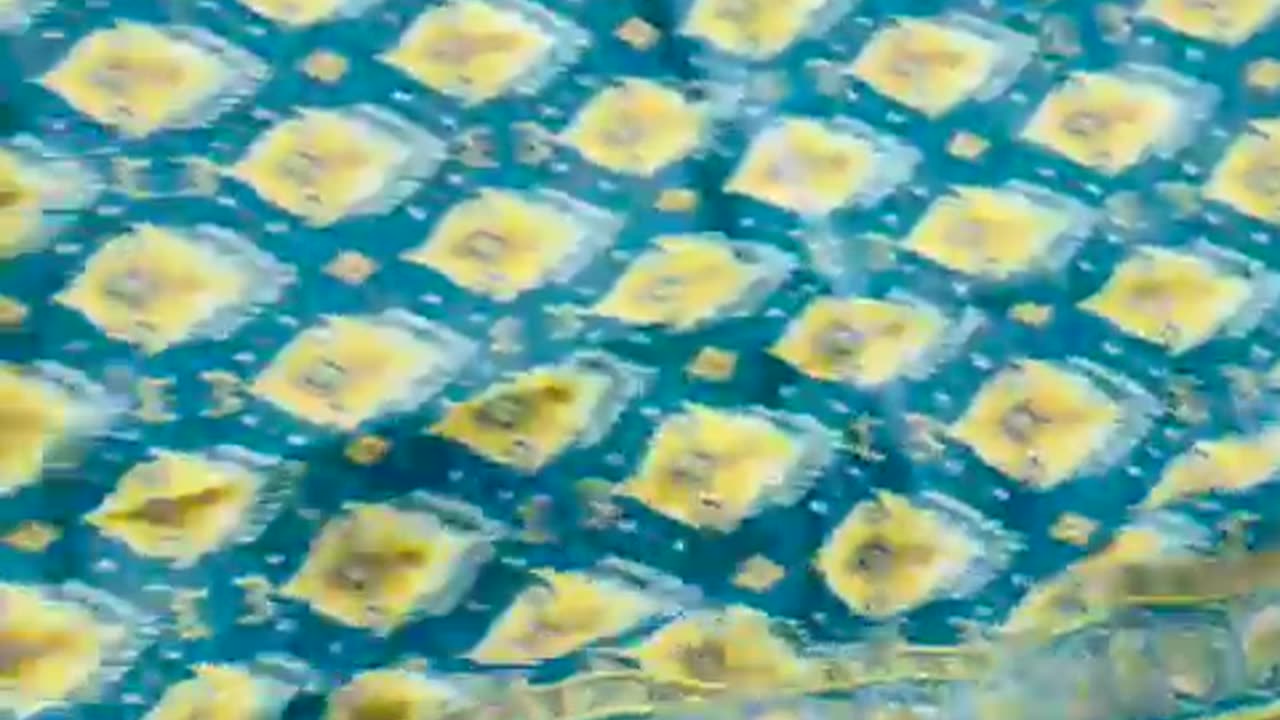 MTJ-Spring Summer DIGITAL PRINTED LAWN COLLECTION