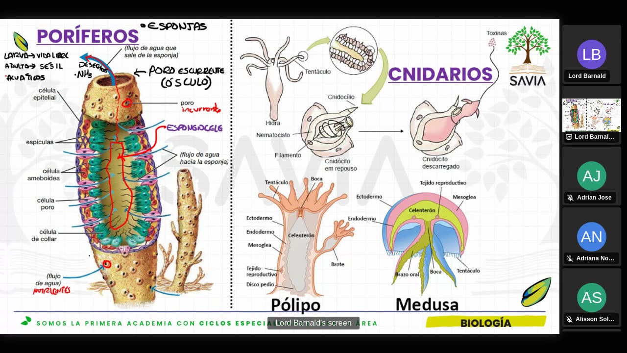 SAVIA SEMIANUAL 2024 | Semana 14 | Biología