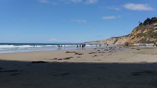The Captain's View. Scripps Pier, La Jolla, California.