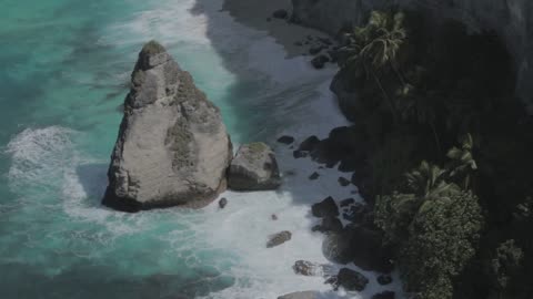 大和海盆の出現—日本列島分裂のゼロ秒目