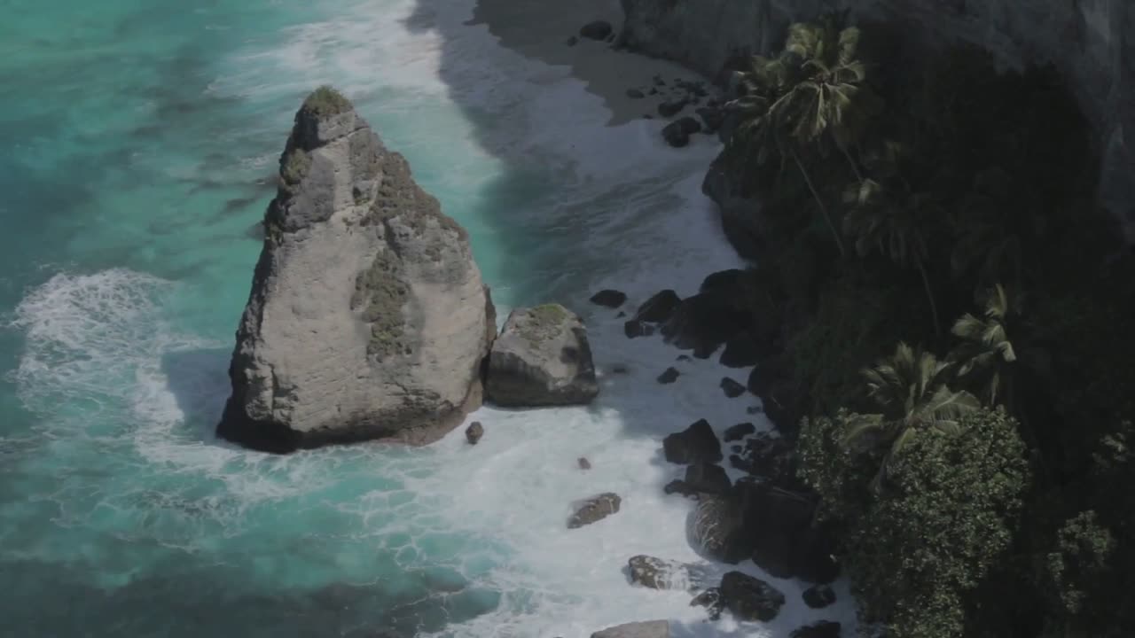大和海盆の出現—日本列島分裂のゼロ秒目