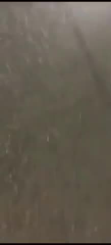 LITTLE RAT FUCK ((( JEW ))) SUCKER FAGGOT Charlie THE RAT Kirk GOT PEW PEWD IN ZA NECK