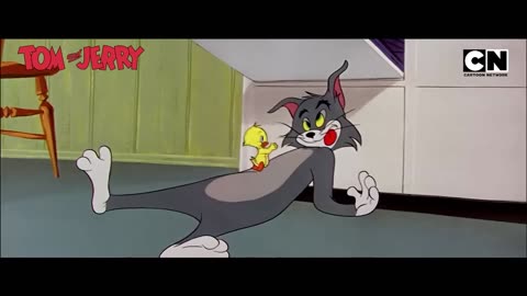 Tom & Jerry’s Fun Fest! 🤩 | #tomandjerry | Funny Cartoon video 😆 | Compilation | Non Stop |