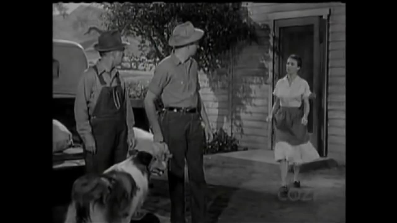 Lassie - Episode 132 - 'The Hospital