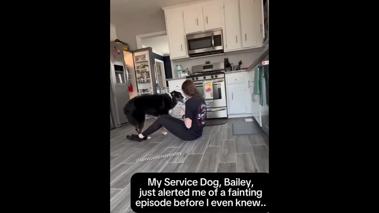 Quick Smile: Service Dog alerts owner of an episode before she knows it