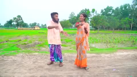 Top Funny Entertainment