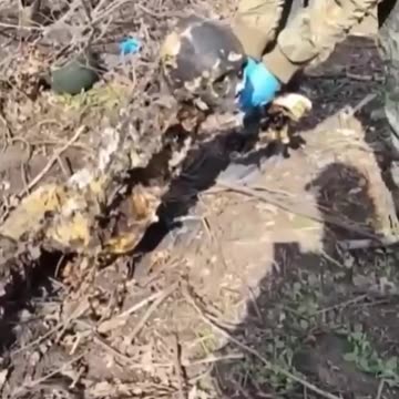 Do You Recognize This Man?