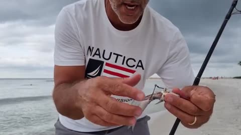 Aprendí a pescar tiburones gigantes, pero nunca solo – Aventura de pesca P1