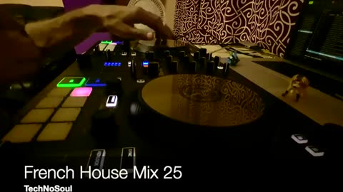 French House Mix 25 (Electronic Music / DJ Set)