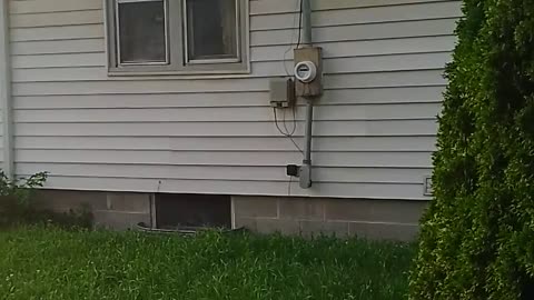 Granny's house outside