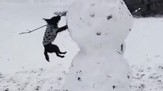 Woe Day 58. I am in the ark. Waiting for GOD to open the Door for a spring/summer Pentecost rapture