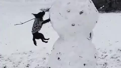 Woe Day 58. I am in the ark. Waiting for GOD to open the Door for a spring/summer Pentecost rapture