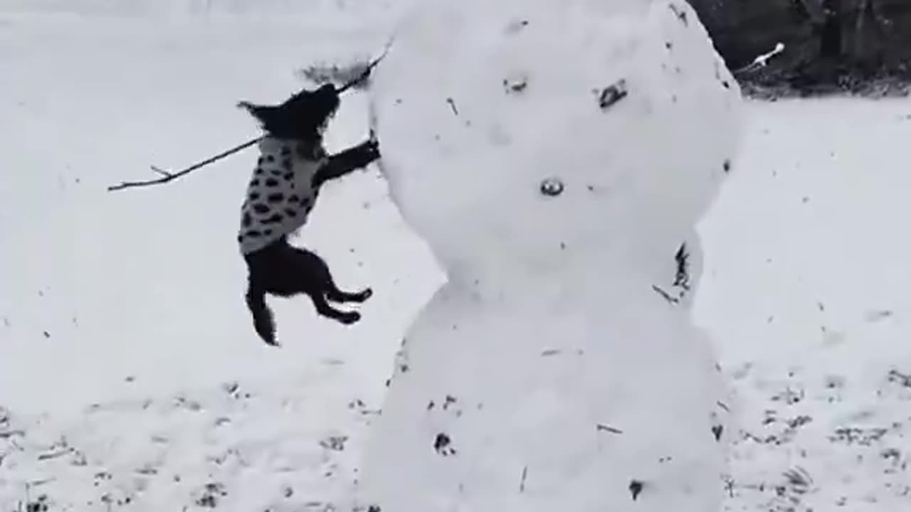 Woe Day 58. I am in the ark. Waiting for GOD to open the Door for a spring/summer Pentecost rapture