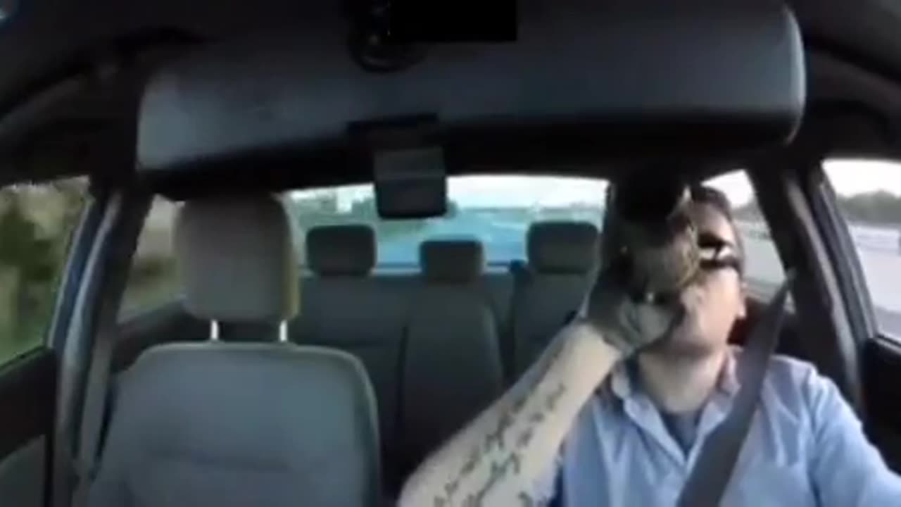😂🤯 Wait For The Ending... Who Put That Window There? | FunFM