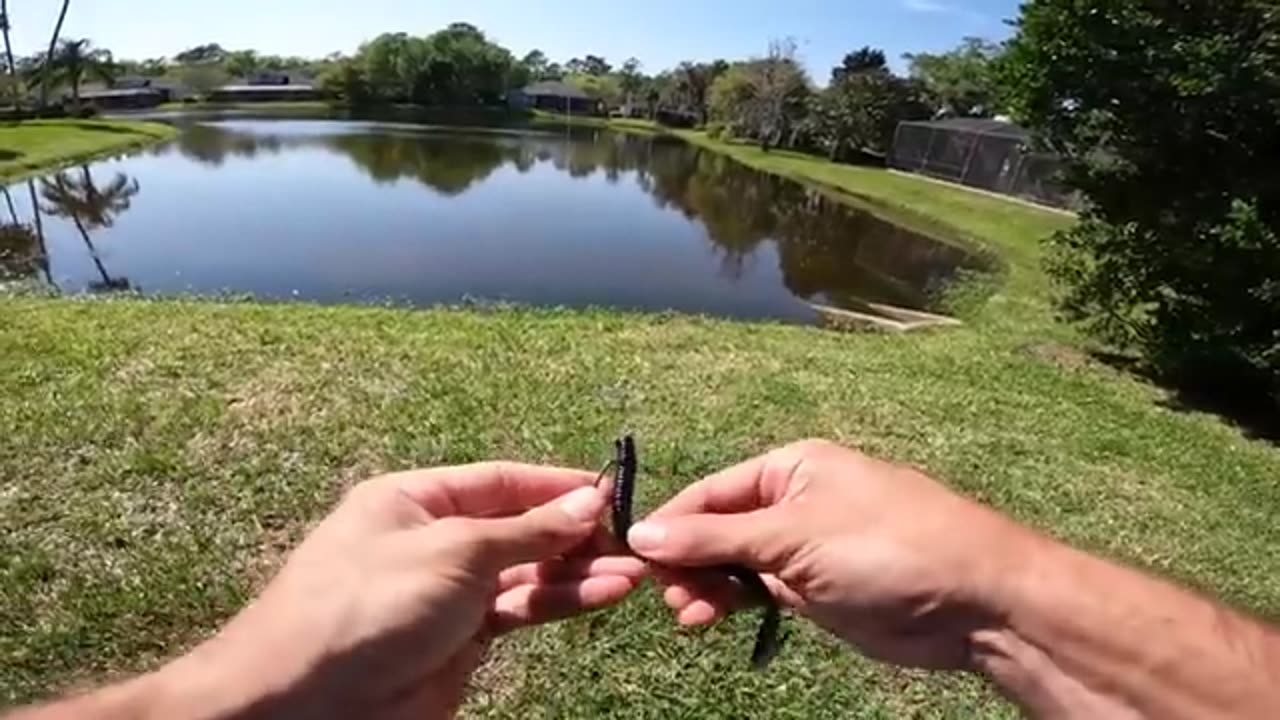 RECORD DAY OF FISHING (LOADED w/ GIANT FISH)