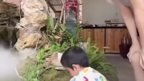 Daily Shorts of Animals😁 – Funny Animals - DAY