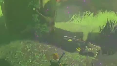 Sobreviví un evento canónico de Zelda breath of the wild