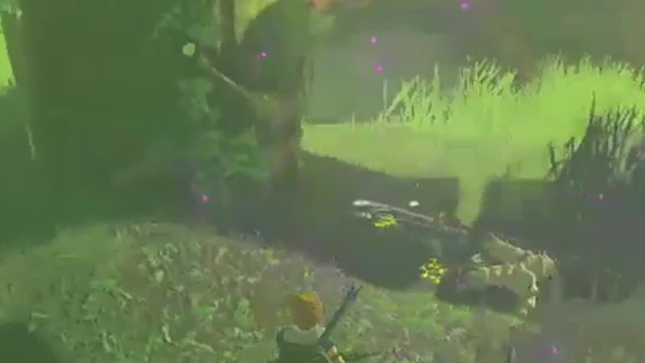 Sobreviví un evento canónico de Zelda breath of the wild
