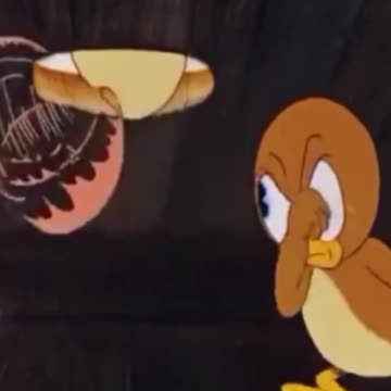 funny funny videos funny jokes funny animals funny memes funny movies funny bone funny pictures