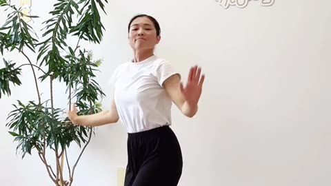 905.大雁平衡飛