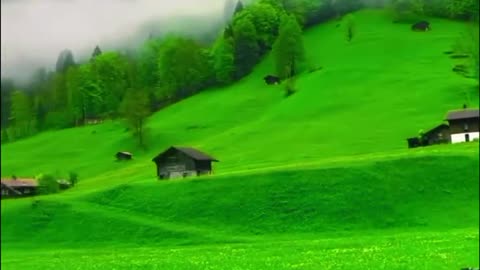 watch my videos with your beautiful eyes.💝💓💔❤️‍🩹😘😍💛