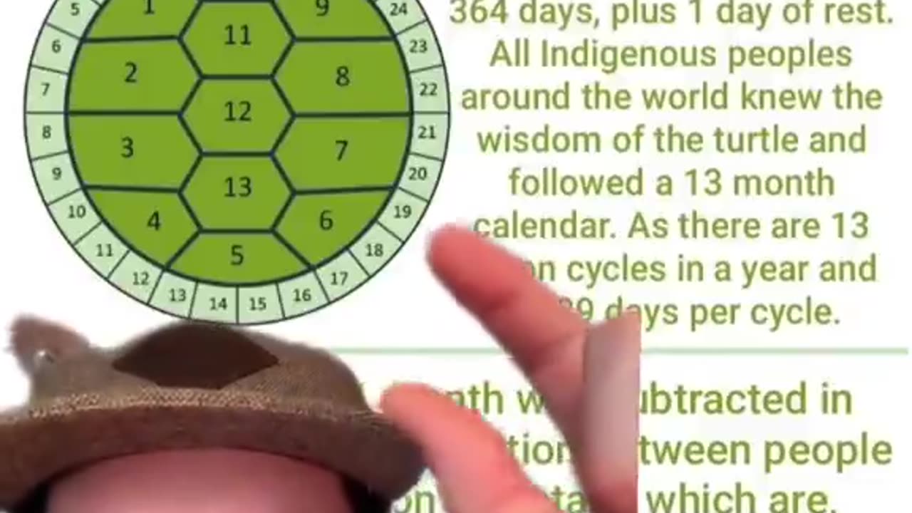 LUNAR CALENDAR ON A TURTLE'S BACK