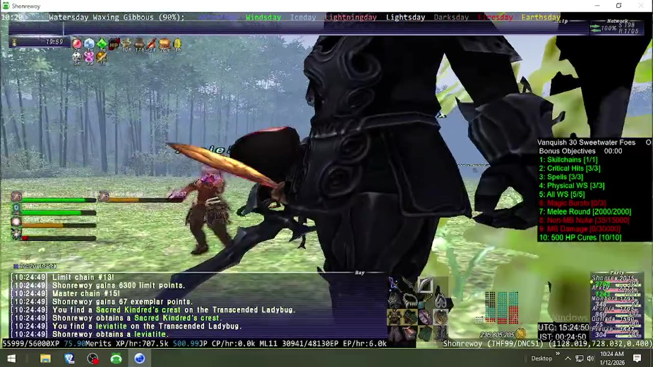 Playing Final Fantasy XI Online