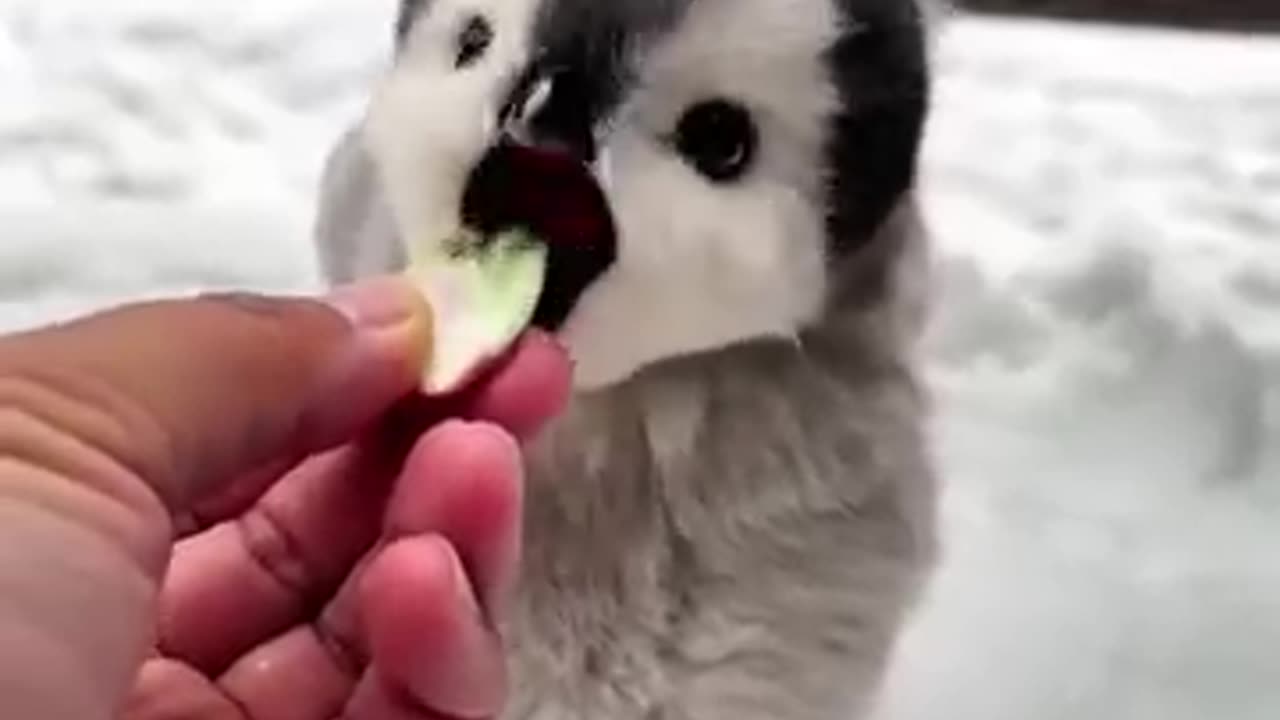 please hold me, i'm cold