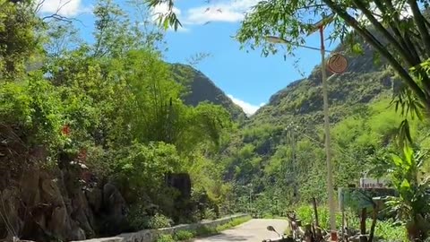 Nature