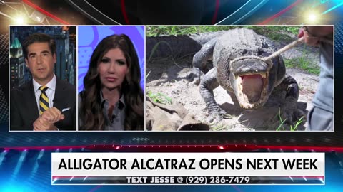 Jesse Watters - 🚨 BREAKING： Biden opened the border to MIGRANT CANNIBALS 🚨 @KristiNo...