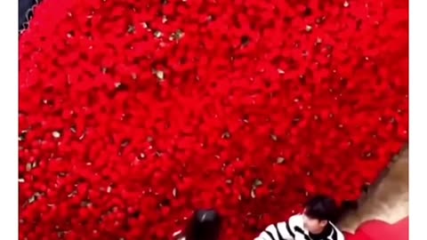 How Cutely He Proposed to Her ❤️ | Romantic Proposal Moments