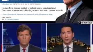 FAUCI was SEWING DEAD BABY SCALPS ON the BACKS of MICE