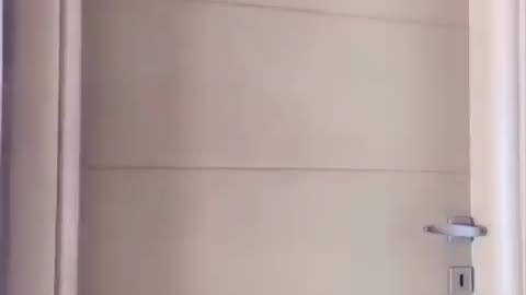 tiktok dance challenge