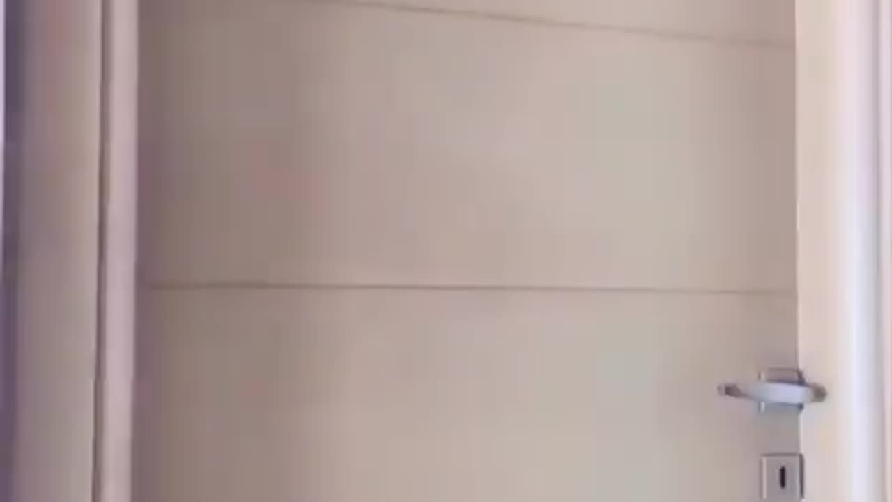 tiktok dance challenge